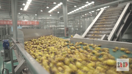 深耕農產品深加工，培育高成長企業 推動生態特色食品產業轉型升級